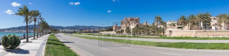 Iconic view of Palma Cathedral with palm tree promenade along the sunny Mediterranean coast.