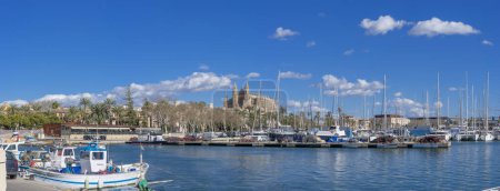 Marina animée de Palmas, avec des voiliers amarrés dans des eaux calmes et la cathédrale comme toile de fond magnifique.