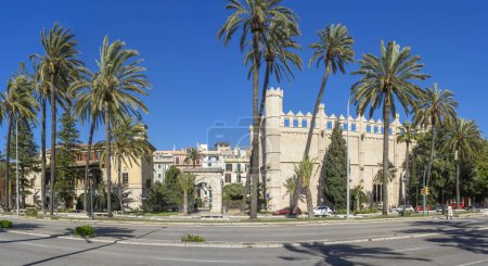 The La Llotja-Born, a Gothic masterpiece, stands elegantly amidst towering palms under a clear sky.