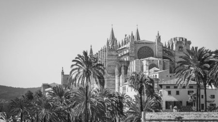 Gothic architecture and tropical palms merge in this timeless black and white photo.
