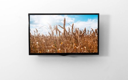 Photo for TV monitor on the wall - Royalty Free Image