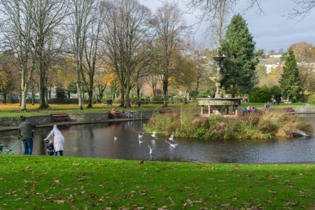 Téléchargez les photos : CORK CITY, IRLANDE - 15 NOVEMBRE 2020 : Des moments inoubliables en famille de l'autre côté du lac au Fitzgerald Park de Cork City. - en image libre de droit
