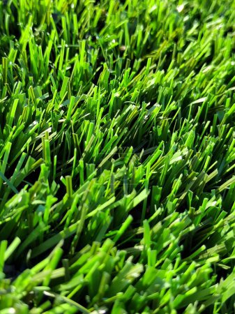 Photo for Artificial grass on the soccer field - Royalty Free Image