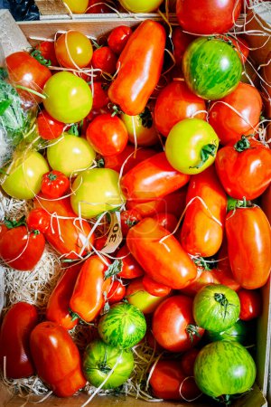 Photo for Abundant, colorful fresh heritage tomatoes on market stall close up with hard light - Royalty Free Image