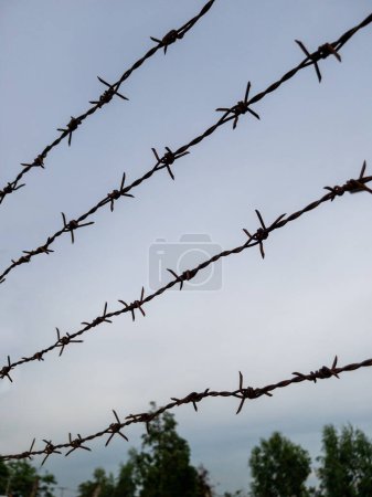Photo for Closeup of the barbed wire stretched in the twilight time to prevent intruders from irrigation officers' houses that control the sluice gate in the countryside, front view with the copy space. - Royalty Free Image