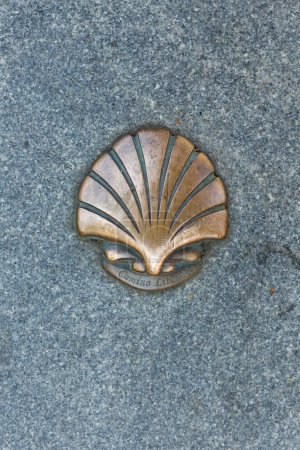 Photo for Kaunas, Lithuania AUGUST 16, 2023. Compostela Scallop Shell on the pavement - Royalty Free Image