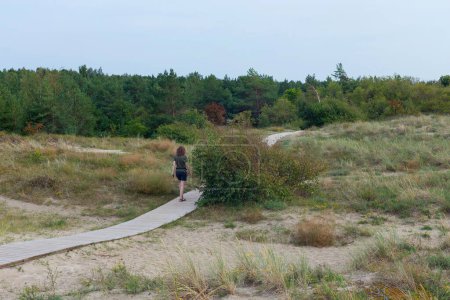 Téléchargez les photos : Sentiers en bois sur le sable près de la ville de Klaipeda en Lituanie - en image libre de droit