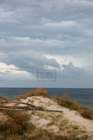 Foto de Península de Neringa, dunas de arena. Lituania - Imagen libre de derechos