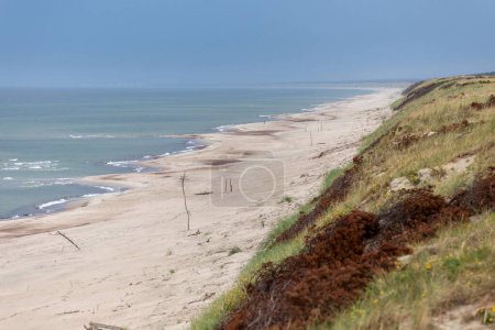 Téléchargez les photos : Péninsule de Neringa, longue plage de sable Lituanie - en image libre de droit