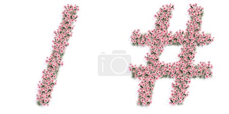 Téléchargez les photos : Concept or conceptual set of beautifull blooming lilies bouquets forming the/ and #. 3d illustration metaphor for education, design and decoration, romance and love, nature, spring or summer. - en image libre de droit