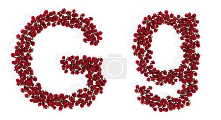 Photo for Concept or conceptual set of beautiful blooming red roses bouquets forming the font G. 3d illustration metaphor for education, design and decoration, romance and love, nature, spring or summer. - Royalty Free Image