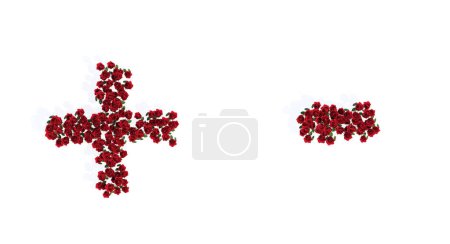 Téléchargez les photos : Concept or conceptual set of beautiful blooming red roses bouquets forming the + and - signs. 3d illustration metaphor for education, design and decoration, romance and love, nature, spring or summer. - en image libre de droit