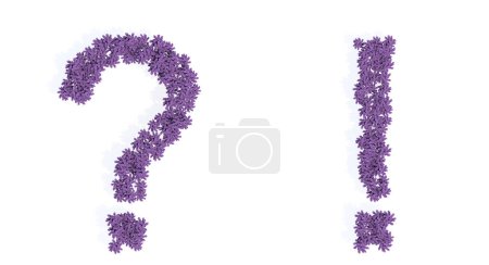 Téléchargez les photos : Concept or conceptual set of beautiful blooming lupine bouquets forming the  ? and ! signs. 3d illustration metaphor for education, design and decoration, romance and love, nature, spring or summer. - en image libre de droit