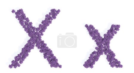 Photo for Concept or conceptual set of beautiful blooming lupine bouquets forming the font X. 3d illustration metaphor for education, design and decoration, romance and love, nature, spring or summer. - Royalty Free Image