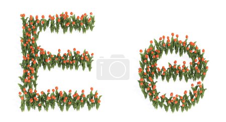 Foto de Concepto o conjunto conceptual de hermosos ramos de tulipanes en flor que forman la fuente E. metáfora de la ilustración 3d para la educación, el diseño y la decoración, el romance y el amor, la naturaleza, la primavera o el verano. - Imagen libre de derechos