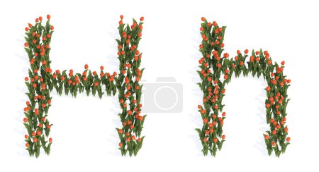 Foto de Concepto o conjunto conceptual de hermosos ramos de tulipanes en flor que forman la fuente H. 3d metáfora ilustración para la educación, el diseño y la decoración, el romance y el amor, la naturaleza, la primavera o el verano. - Imagen libre de derechos