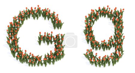 Téléchargez les photos : Concept ou ensemble conceptuel de beaux bouquets de tulipes en fleurs formant la police G. 3d illustration métaphore pour l'éducation, le design et la décoration, la romance et l'amour, la nature, le printemps ou l'été. - en image libre de droit