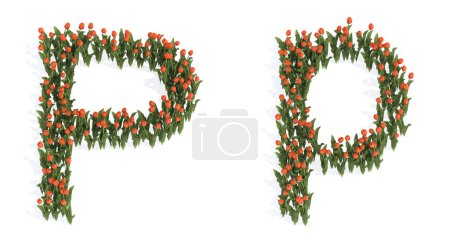 Foto de Concepto o conjunto conceptual de hermosos ramos de tulipanes en flor que forman la fuente P. 3d metáfora ilustración para la educación, el diseño y la decoración, el romance y el amor, la naturaleza, la primavera o el verano. - Imagen libre de derechos