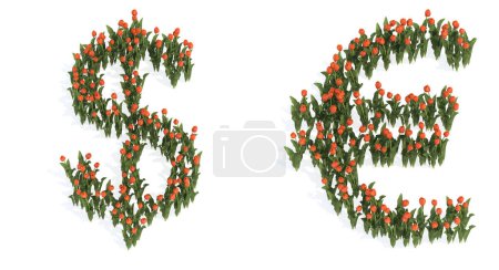 Téléchargez les photos : Concept or conceptual set of beautiful blooming tulip bouquets forming the euro and dollar signs. 3d illustration metaphor for education, design and decoration, romance and love, nature, spring or summer. - en image libre de droit