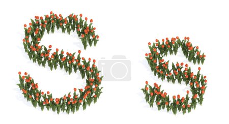 Foto de Concepto o conjunto conceptual de hermosos ramos de tulipanes en flor formando la fuente S. 3d metáfora ilustración para la educación, el diseño y la decoración, el romance y el amor, la naturaleza, la primavera o el verano. - Imagen libre de derechos