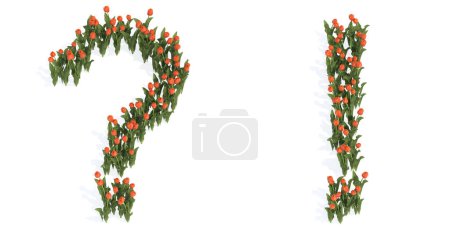 Téléchargez les photos : Concept or conceptual set of beautiful blooming tulip bouquets forming the ? and ! signs. 3d illustration metaphor for education, design and decoration, romance and love, nature, spring or summer. - en image libre de droit