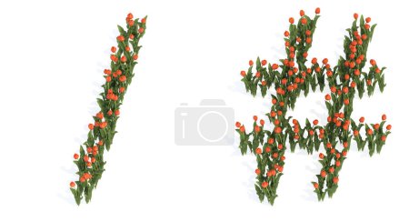 Photo for Concept or conceptual set of beautiful blooming tulip bouquets forming the division slash and hash signs. 3d illustration metaphor for education, design and decoration, romance and love, nature, spring or summer. - Royalty Free Image
