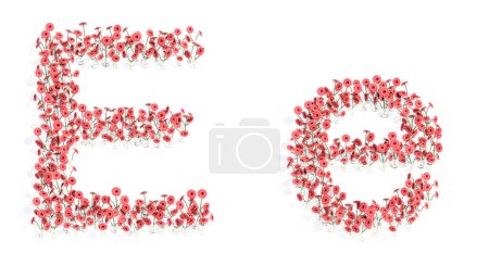 Photo for Concept or conceptual set of beautifull blooming gerberas bouquets forming the font E. 3d illustration metaphor for education, design and decoration, romance and love, nature, spring or summer. - Royalty Free Image