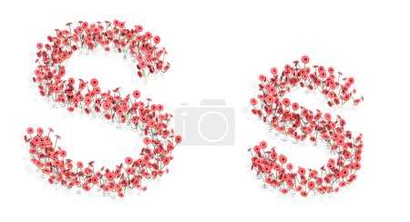 Foto de Concept or conceptual set of beautifull blooming gerberas bouquets forming the font S. 3d illustration metaphor for education, design and decoration, romance and love, nature, spring or summer. - Imagen libre de derechos