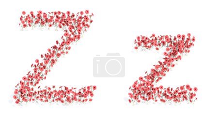 Foto de Concept or conceptual set of beautifull blooming gerberas bouquets forming the font Z. 3d illustration metaphor for education, design and decoration, romance and love, nature, spring or summer. - Imagen libre de derechos