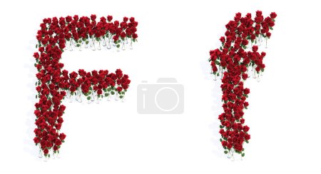 Téléchargez les photos : Concept or conceptual set of beautiful blooming red roses bouquets forming the font F. 3d illustration metaphor for education, design and decoration, romance and love, nature, spring or summer. - en image libre de droit