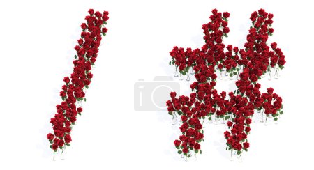 Téléchargez les photos : Concept or conceptual set of beautiful blooming red roses bouquets forming the division slash and # signs. 3d illustration metaphor for education, design and decoration, romance and love, nature, spring or summer. - en image libre de droit
