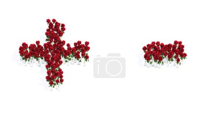 Téléchargez les photos : Concept or conceptual set of beautiful blooming red roses bouquets forming the + and - signs. 3d illustration metaphor for education, design and decoration, romance and love, nature, spring or summer. - en image libre de droit