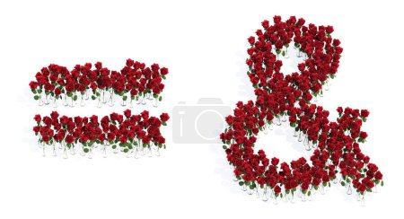 Téléchargez les photos : Concept or conceptual set of beautiful blooming red roses bouquets forming the = and ampersand signs. 3d illustration metaphor for education, design and decoration, romance and love, nature, spring or summer. - en image libre de droit