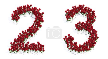 Photo for Concept or conceptual set of beautiful blooming red roses bouquets forming the fonts  2 and 3. 3d illustration metaphor for education, design and decoration, romance and love, nature, spring or summer. - Royalty Free Image