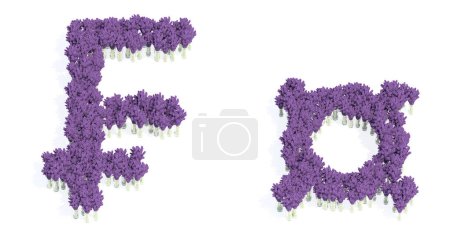 Photo for Concept or conceptual set of beautiful blooming lupine bouquets forming the french franc and  signs. 3d illustration metaphor for education, design and decoration, romance and love, nature, spring or summer - Royalty Free Image
