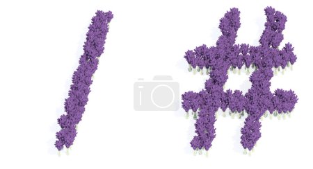Téléchargez les photos : Concept or conceptual set of beautiful blooming lupine bouquets forming the division slash and # signs. 3d illustration metaphor for education, design and decoration, romance and love, nature, spring or summer. - en image libre de droit