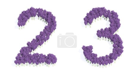 Téléchargez les photos : Concept or conceptual set of beautiful blooming lupine bouquets forming the fonts  2 and 3. 3d illustration metaphor for education, design and decoration, romance and love, nature, spring or summer. - en image libre de droit