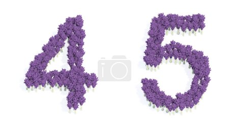 Photo for Concept or conceptual set of beautiful blooming lupine bouquets forming the fonts  4 and 5. 3d illustration metaphor for education, design and decoration, romance and love, nature, spring or summer. - Royalty Free Image