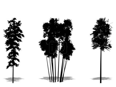Téléchargez les photos : Ensemble ou collection de bambous en forme de silhouette noire sur fond blanc. Concept ou illustration 3D conceptuelle pour la nature, la planète, l'écologie et la conservation, la force, l'endurance et la beauté - en image libre de droit