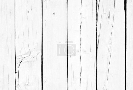 Photo for White old wood or wooden vintage plank floor or wall surface background  as a decorative pattern layout. A material for retro or creative designs in constructions, architecture or furniture decor - Royalty Free Image