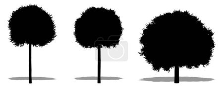 Téléchargez les photos : Ensemble ou collection de cerisiers Globe comme une silhouette noire sur fond blanc. Concept ou illustration 3D conceptuelle pour la nature, la planète, l'écologie et la conservation, la force, l'endurance et la beauté - en image libre de droit
