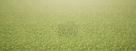 Photo for Concept or conceptual green, fresh and natural grass field or lawn. A 3d illustration as a metaphor for nature, environment, sport, recreation, agriculture, spring, summer, eco or garden design - Royalty Free Image