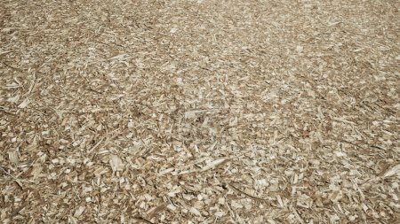 dry woodchips texture for simple background. rustic design