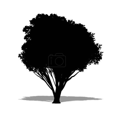 Téléchargez les illustrations : Ensemble ou collection d'arbres Rata du Nord en forme de silhouette noire sur fond blanc. Concept ou vecteur conceptuel pour la nature, la planète, l'écologie et la conservation, la force, l'endurance et la beauté - en licence libre de droit