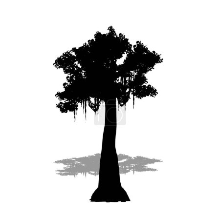 Illustration for Set or collection of Kapok tree as a black silhouette on white background. Concept or conceptual vector for nature, planet, ecology and conservation, strength, endurance and  beauty - Royalty Free Image