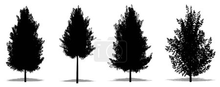 Téléchargez les illustrations : Ensemble ou collection d'arbres Eagleston Savannah Holly comme une silhouette noire sur fond blanc. Concept ou vecteur conceptuel pour la nature, la planète, l'écologie et la conservation, la force, l'endurance et la beauté - en licence libre de droit