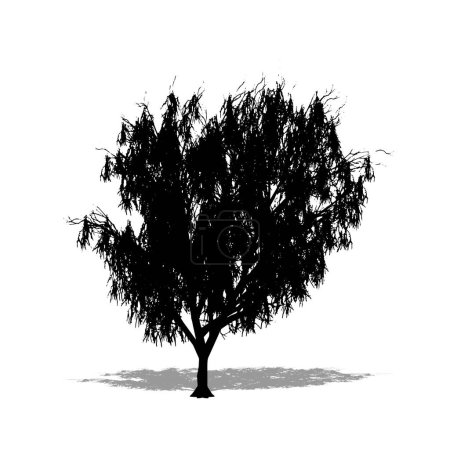 Ensemble ou collection de Miel Mesquite arbre comme une silhouette noire sur fond blanc. Concept ou vecteur conceptuel pour la nature, la planète, l'écologie et la conservation, la force, l'endurance et la beauté