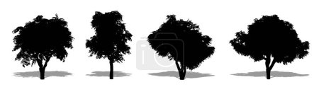 Téléchargez les illustrations : Ensemble ou collection de chênes Kermes en forme de silhouette noire sur fond blanc. Concept ou vecteur conceptuel pour la nature, la planète, l'écologie et la conservation, la force, l'endurance et la beauté - en licence libre de droit