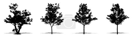 Ilustración de Conjunto o colección de manzanos japoneses como silueta negra sobre fondo blanco. Concepto o vector conceptual para naturaleza, planeta, ecología y conservación, fuerza, resistencia y belleza - Imagen libre de derechos