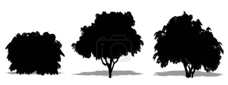 Téléchargez les illustrations : Ensemble ou collection de Chesewood japonais comme une silhouette noire sur fond blanc. Concept ou vecteur conceptuel pour la nature, la planète, l'écologie et la conservation, la force, l'endurance et la beauté - en licence libre de droit